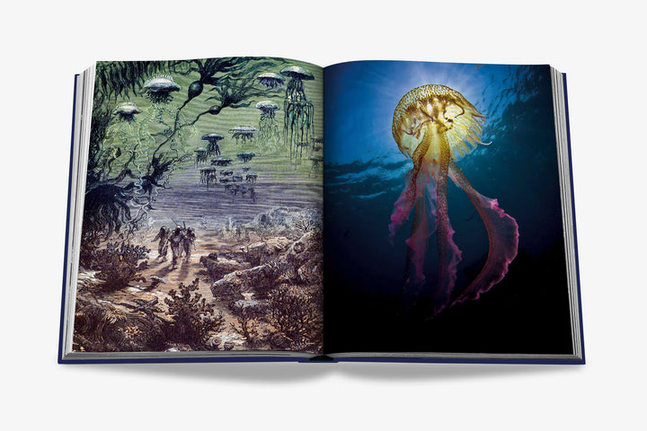 Ocean Wanderlust Book Print Books Assouline