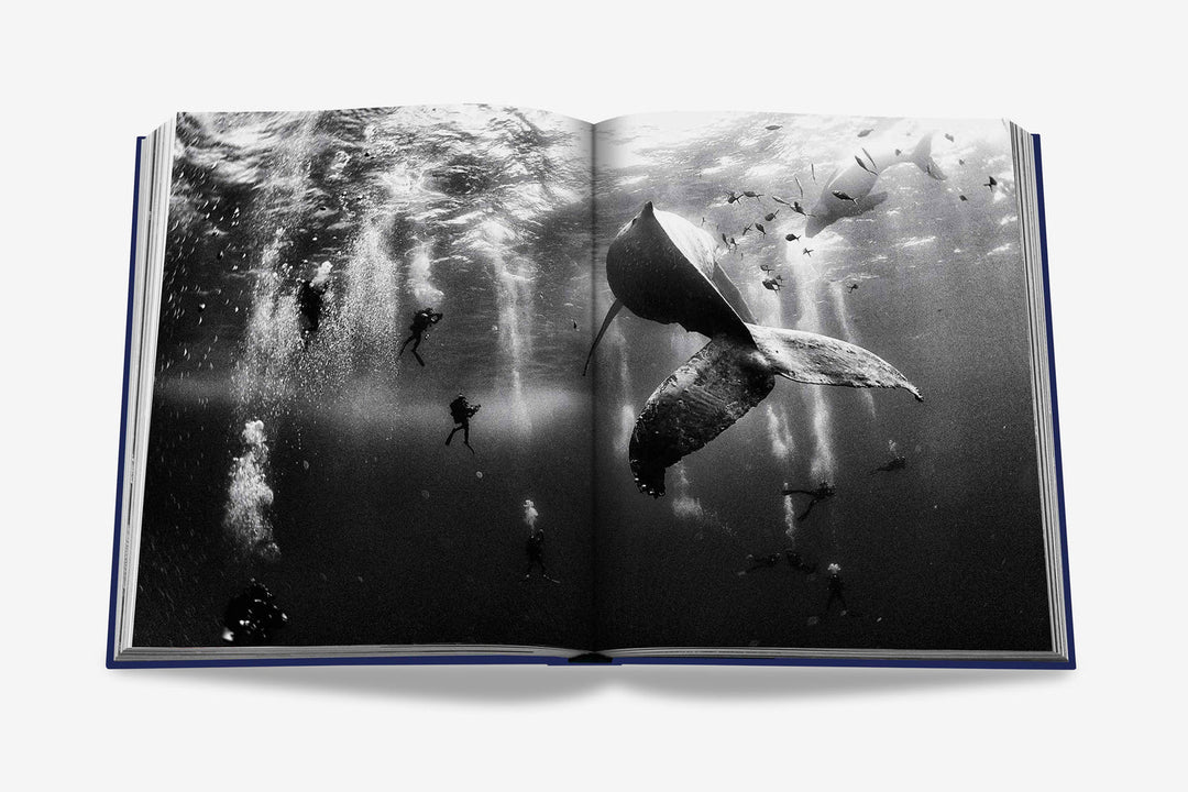 Ocean Wanderlust Book Print Books Assouline