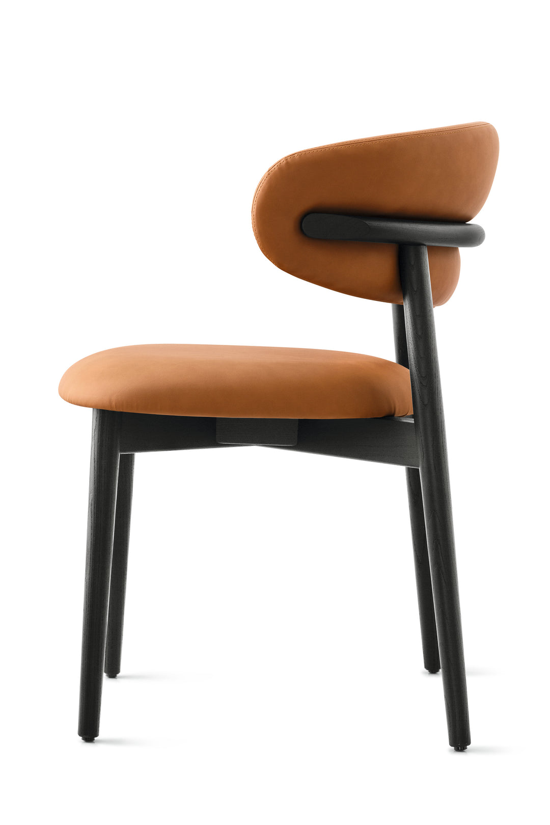 Oleandro Chair Wood Matt Black Cognac  Calligaris   