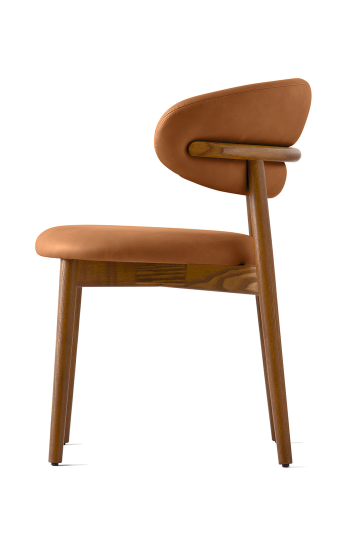 Oleandro Chair Wood Walnut Cognac  Calligaris   