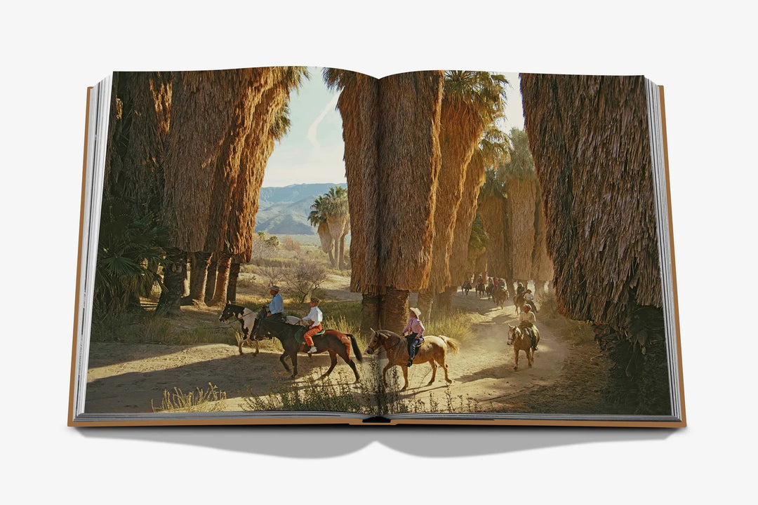 Palm Springs Book Print Books Assouline