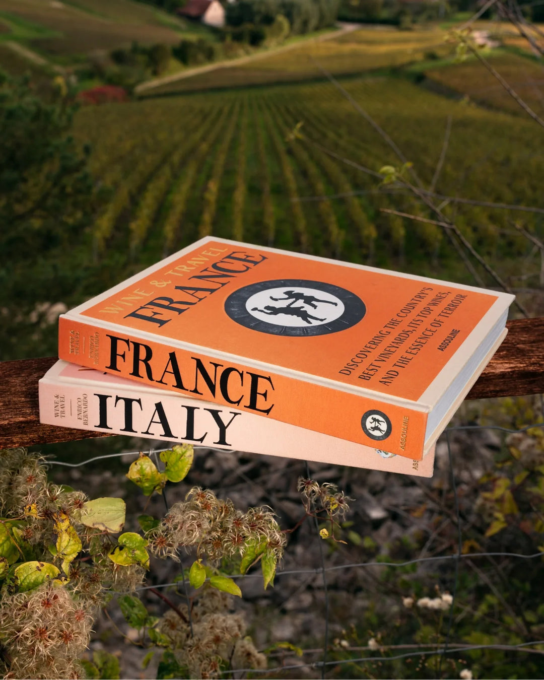 Wine and Travel France and Italy Gift Set Print Books Assouline   