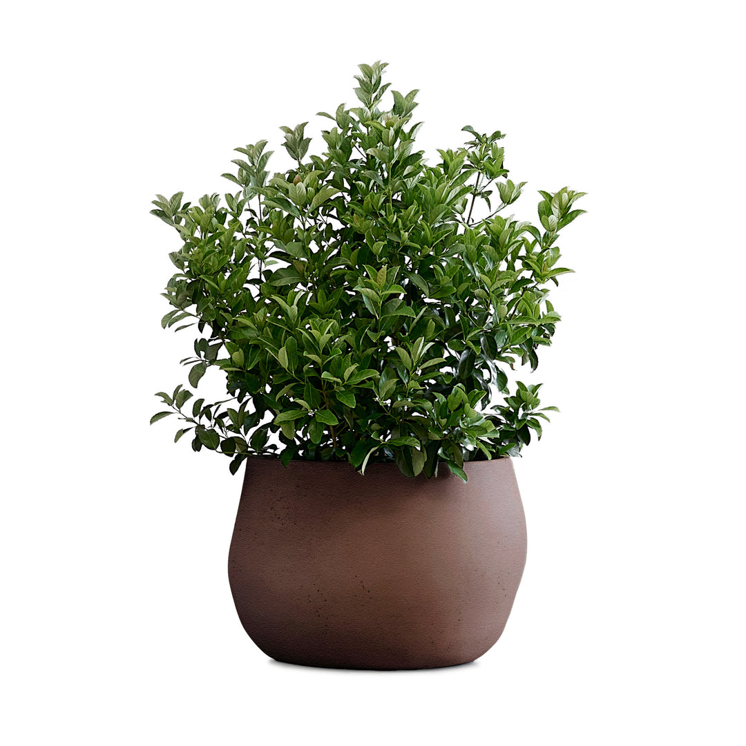 Pebble Planter – Small Outdoor Planters Indigenus