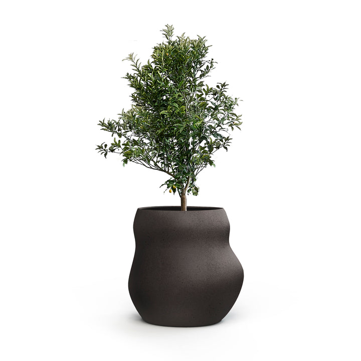 Pebble Planter – Midi Outdoor Planters Indigenus Black