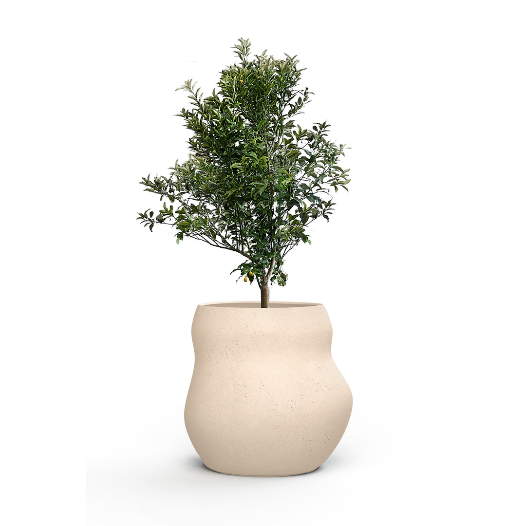 Pebble Planter – Midi Outdoor Planters Indigenus Sandstone