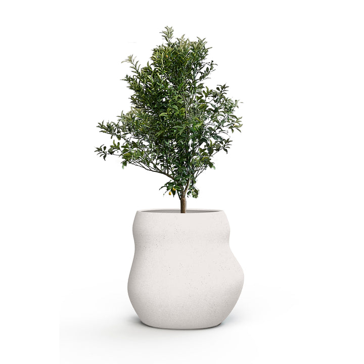 Pebble Planter – Midi Outdoor Planters Indigenus White