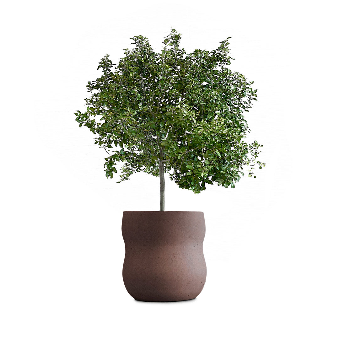 Pebble Planter – Medium Outdoor Planters Indigenus Brown