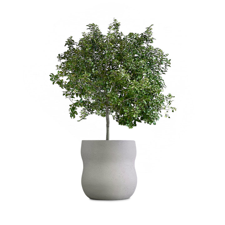 Pebble Planter – Medium Outdoor Planters Indigenus Grey