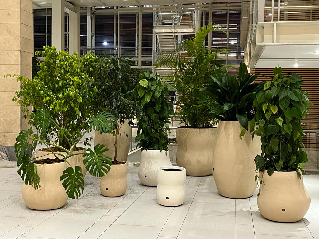 Pebble Planter – Extra Small Outdoor Planters Indigenus