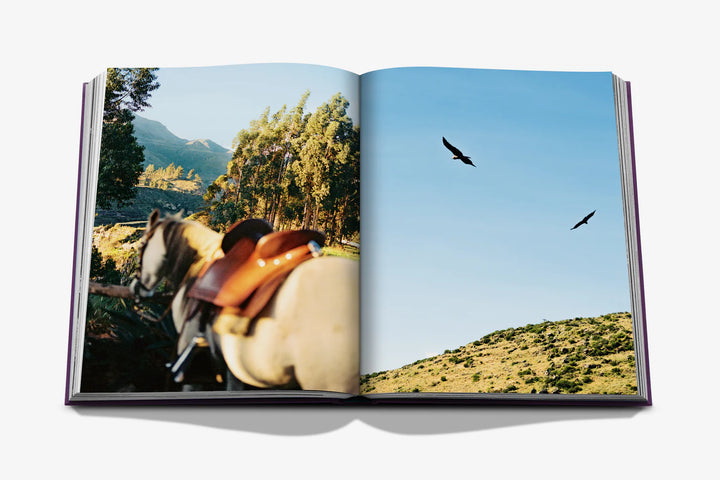 Peru: An Odyssey Across a Time-Honored Land Book Print Books Assouline