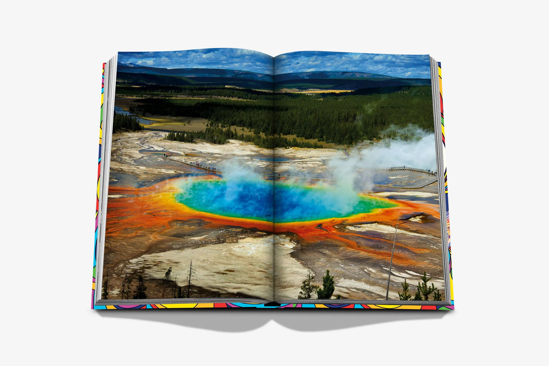 Psychedelic Now Book Print Books Assouline