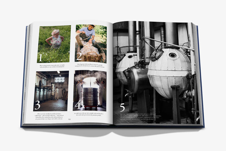 Robertet: From Seed to Scent Book Print Books Assouline
