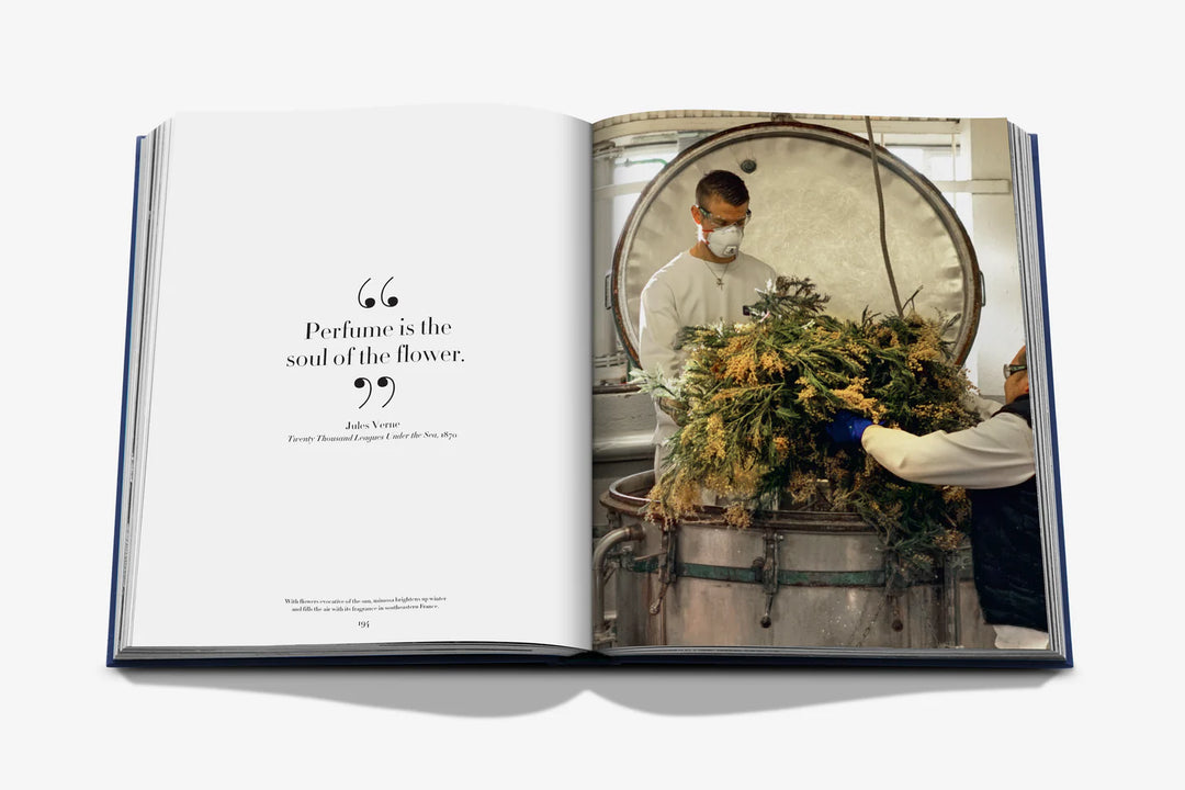 Robertet: From Seed to Scent Book Print Books Assouline