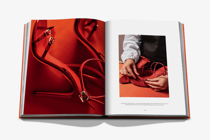 Santoni Meraviglia Book Print Books Assouline