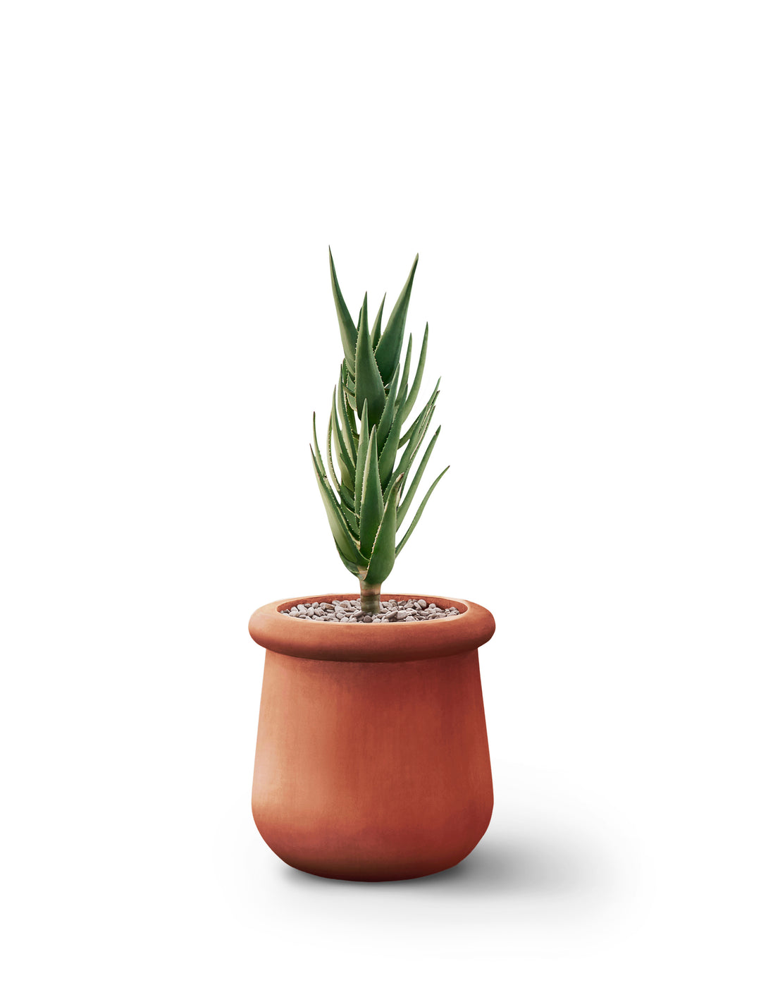 Soma Planter – Small Outdoor Planters Indigenus