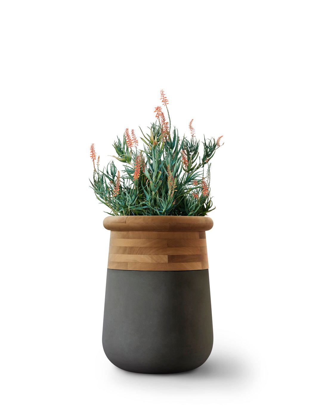 Soma Wood Planter – Medium Outdoor Planters Indigenus