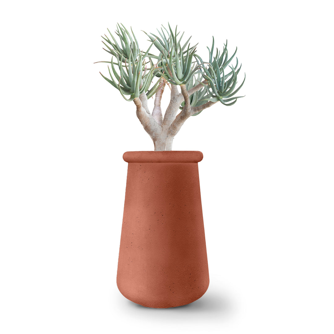 modern indoor planter tall Soma Planter – Tall – Italian Luxury Interiors