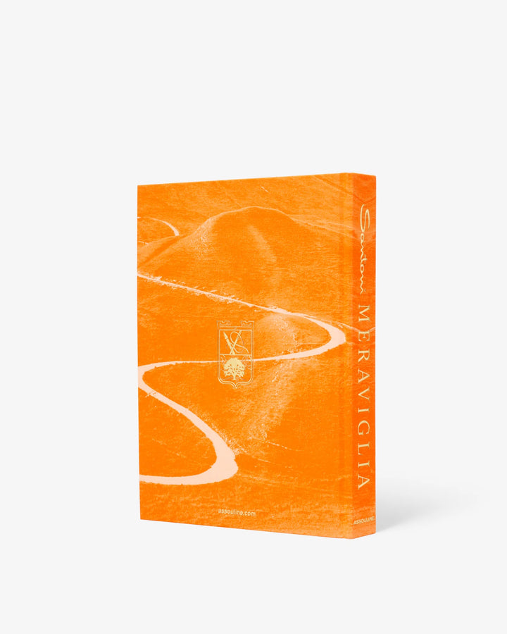 Santoni Meraviglia Book Print Books Assouline