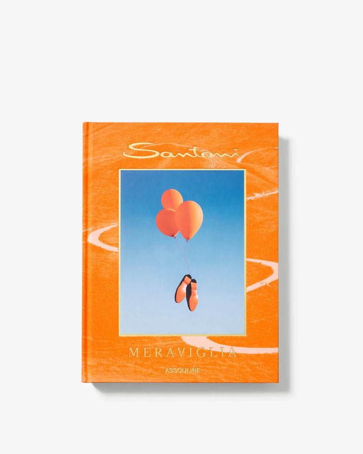 Santoni Meraviglia Book Print Books Assouline
