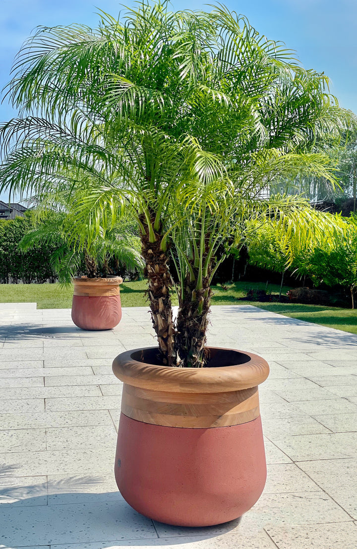 Soma Wood Planter – Small Outdoor Planters Indigenus