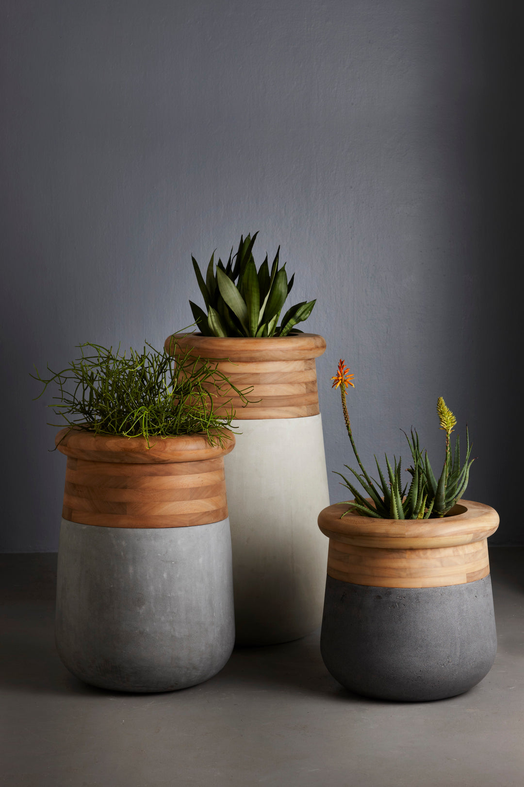 Soma Wood Planter – Slim Outdoor Planters Indigenus