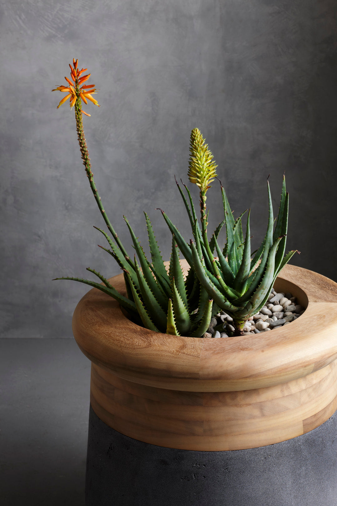 Soma Wood Planter – Medium Outdoor Planters Indigenus