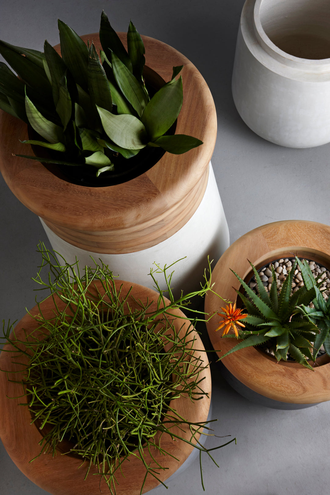 Soma Wood Planter – Medium Outdoor Planters Indigenus
