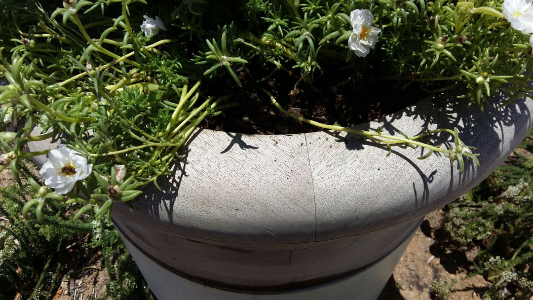 Soma Wood Planter – Medium