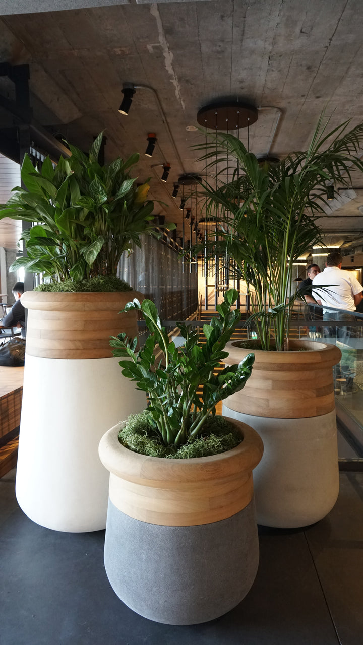 Soma Wood Planter – Medium Outdoor Planters Indigenus