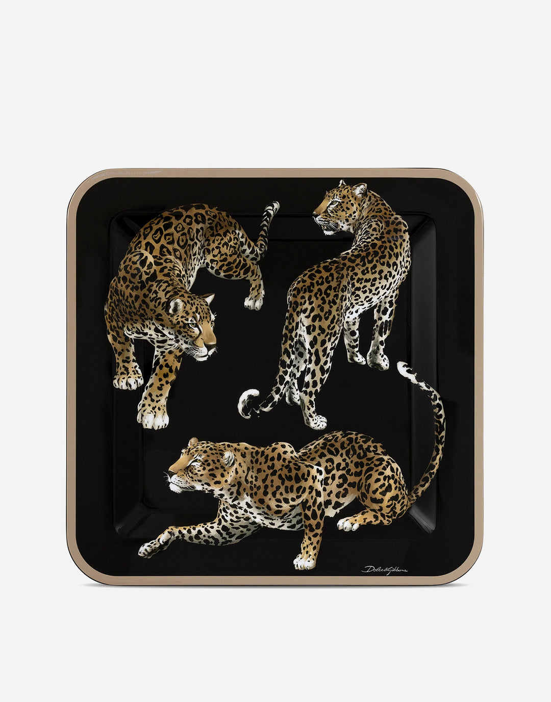 LEOPARD MEDIUM SQUARE TRAY Decorative Tray Dolce&Gabbana   