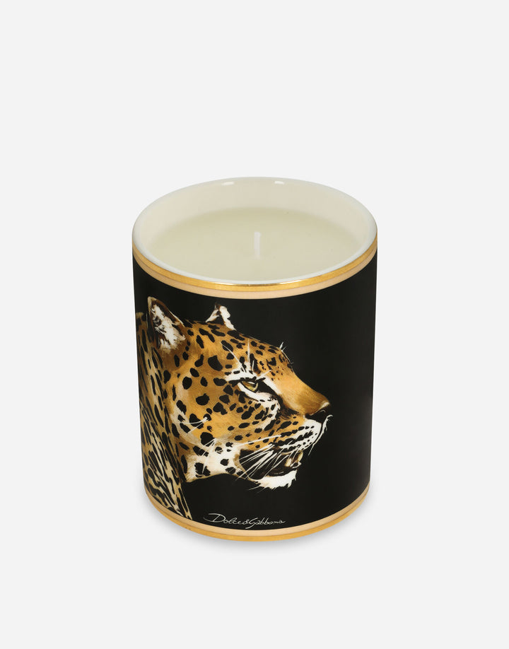 LEOPARD SCENTED CANDLE - PATCHOULI  Dolce&Gabbana   