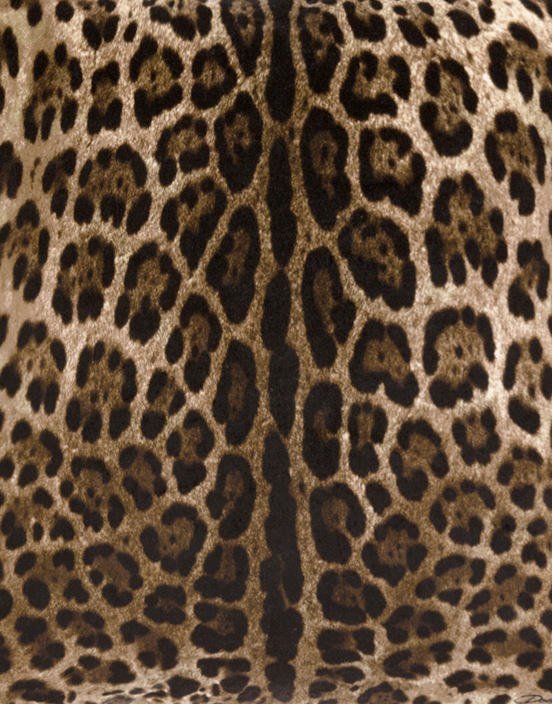 ALL OVER LEOPARD VELVET CUSHION Cushions Dolce&Gabbana   