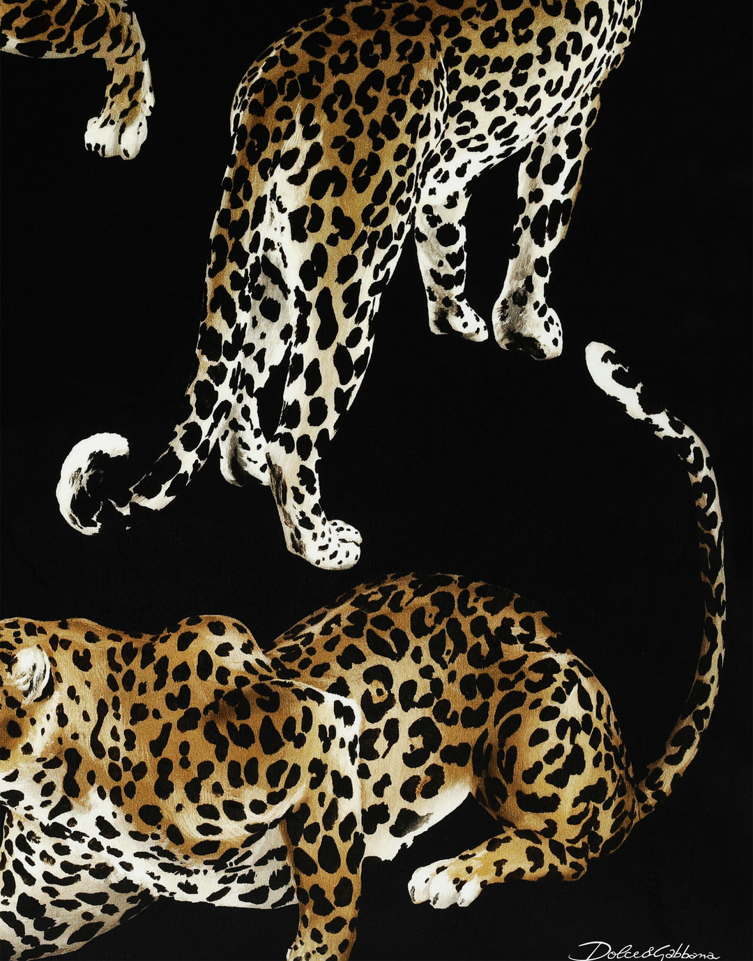 VELVET LARGE CUSHION Cushions Dolce&Gabbana   