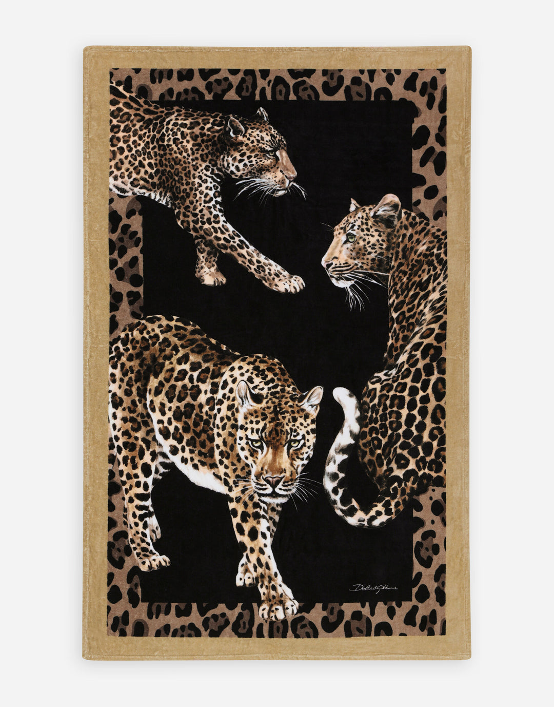 Terry Cotton Beach Towel  Dolce&Gabbana   