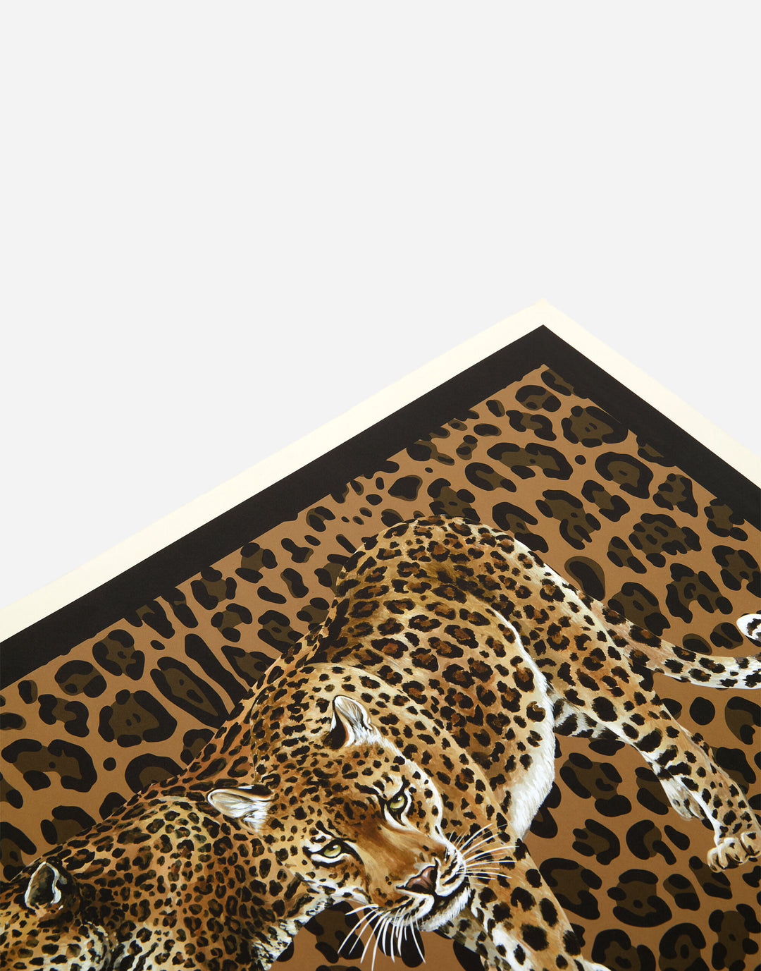 SET OF 36 LEOPARD REVERSIBLE PAPER PLACEMATS Place Mat Dolce&Gabbana   