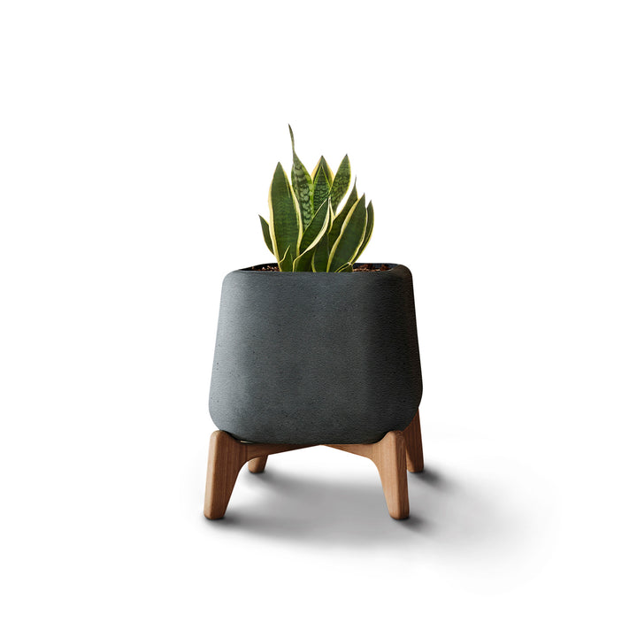Terra Planter – Square XS Outdoor Planters Indigenus Black Natural