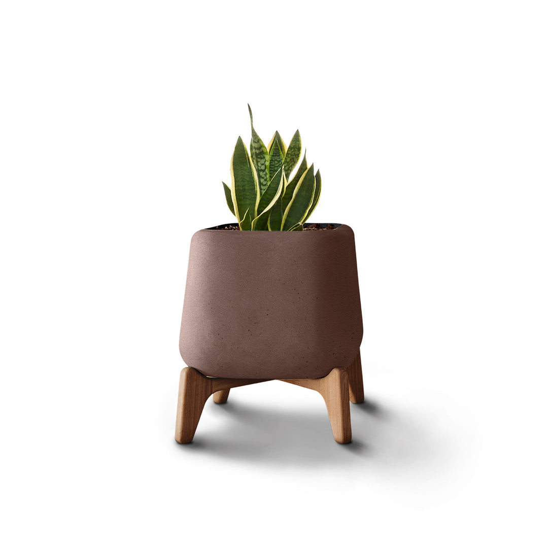 Terra Planter – Square XS Outdoor Planters Indigenus Brown Natural