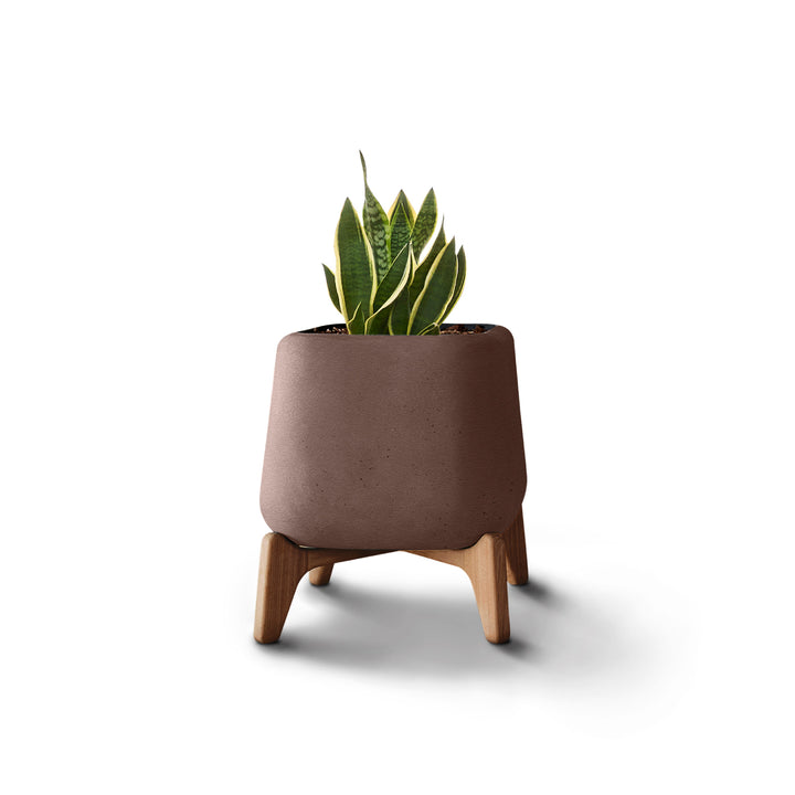 Terra Planter – Square XS Outdoor Planters Indigenus Brown Natural
