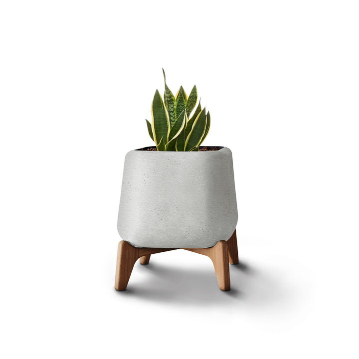 Terra Planter – Square XS Outdoor Planters Indigenus Grey Natural