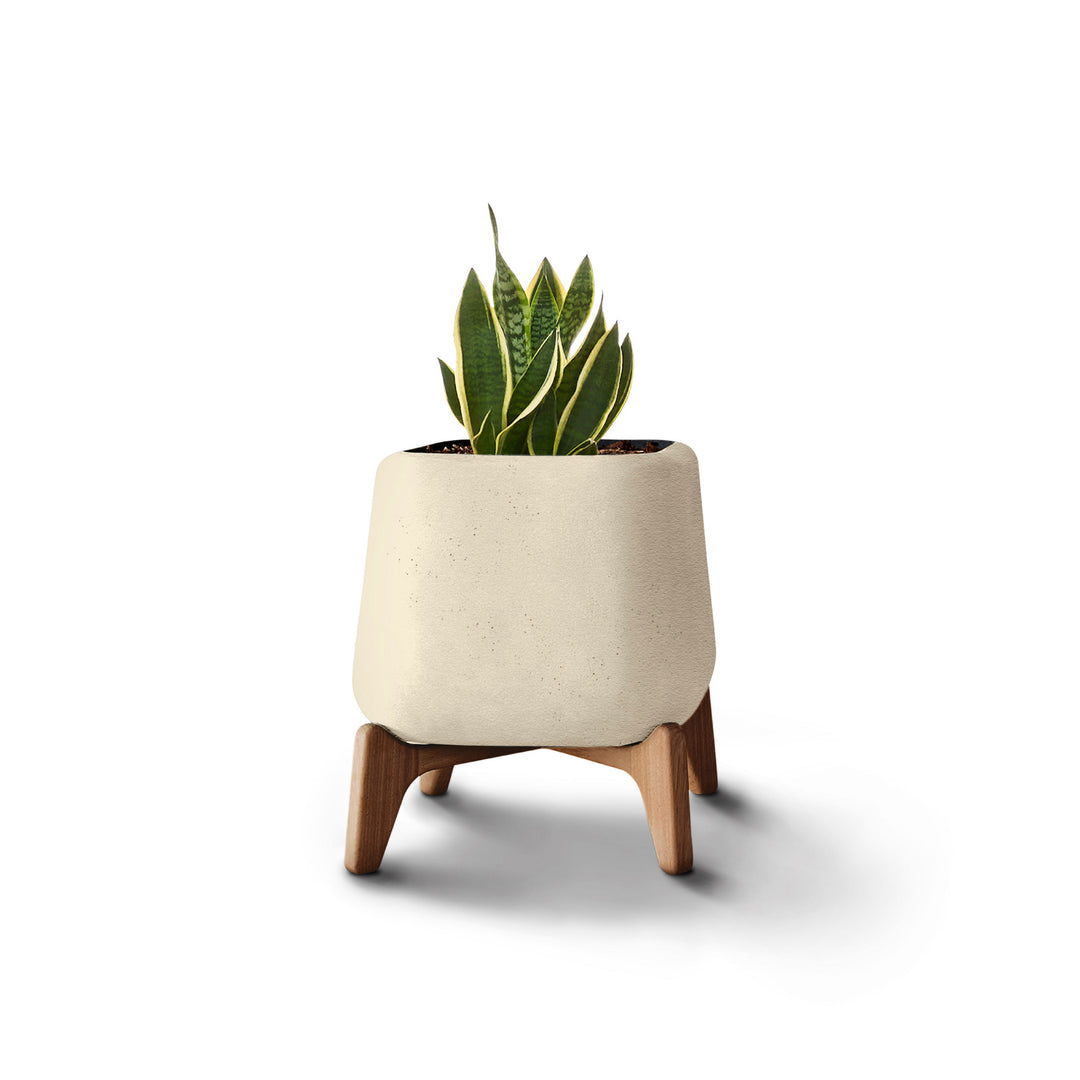 Terra Planter – Square XS Outdoor Planters Indigenus Sandstone Natural