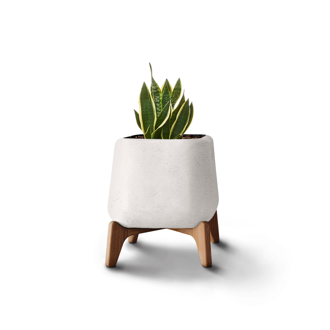 Terra Planter – Square XS Outdoor Planters Indigenus White Natural