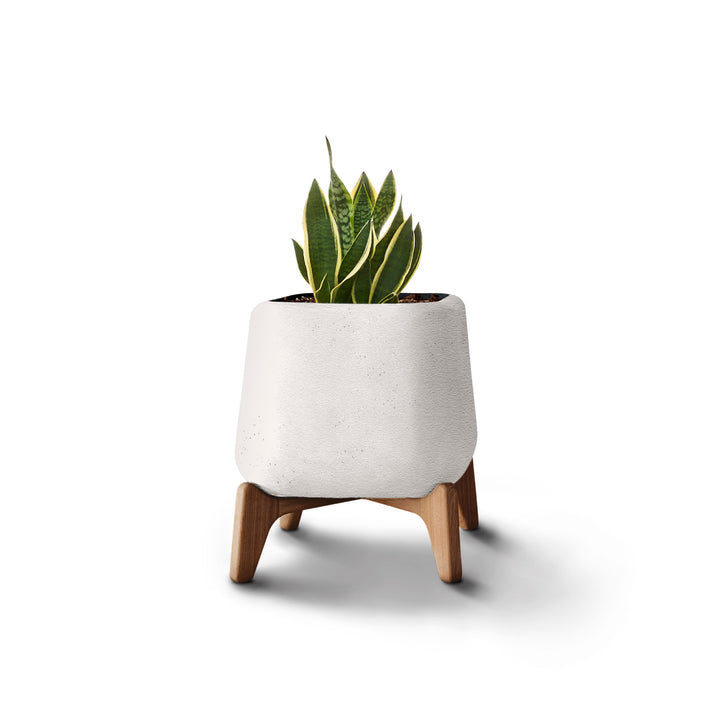 Terra Planter – Square XS Outdoor Planters Indigenus White Natural