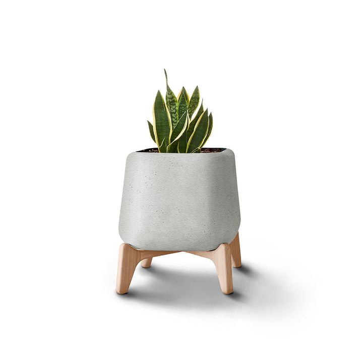 Terra Planter – Square Outdoor Planters Indigenus