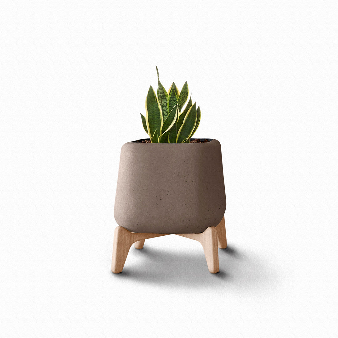 Terra Planter – Square Outdoor Planters Indigenus