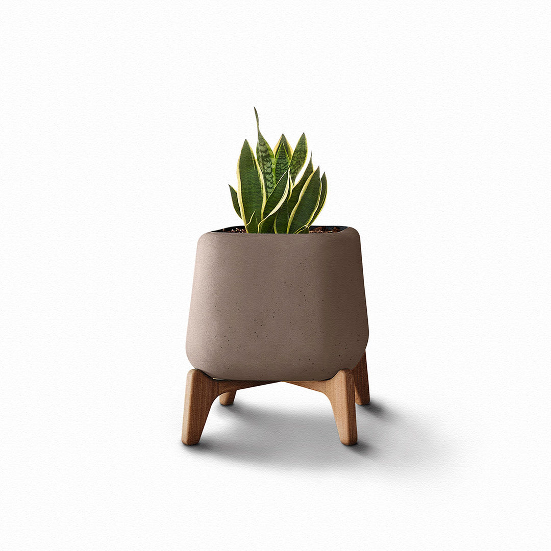 Terra Planter – Square Outdoor Planters Indigenus