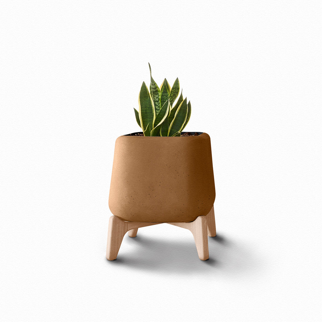 Terra Planter – Square Outdoor Planters Indigenus Brown Natural