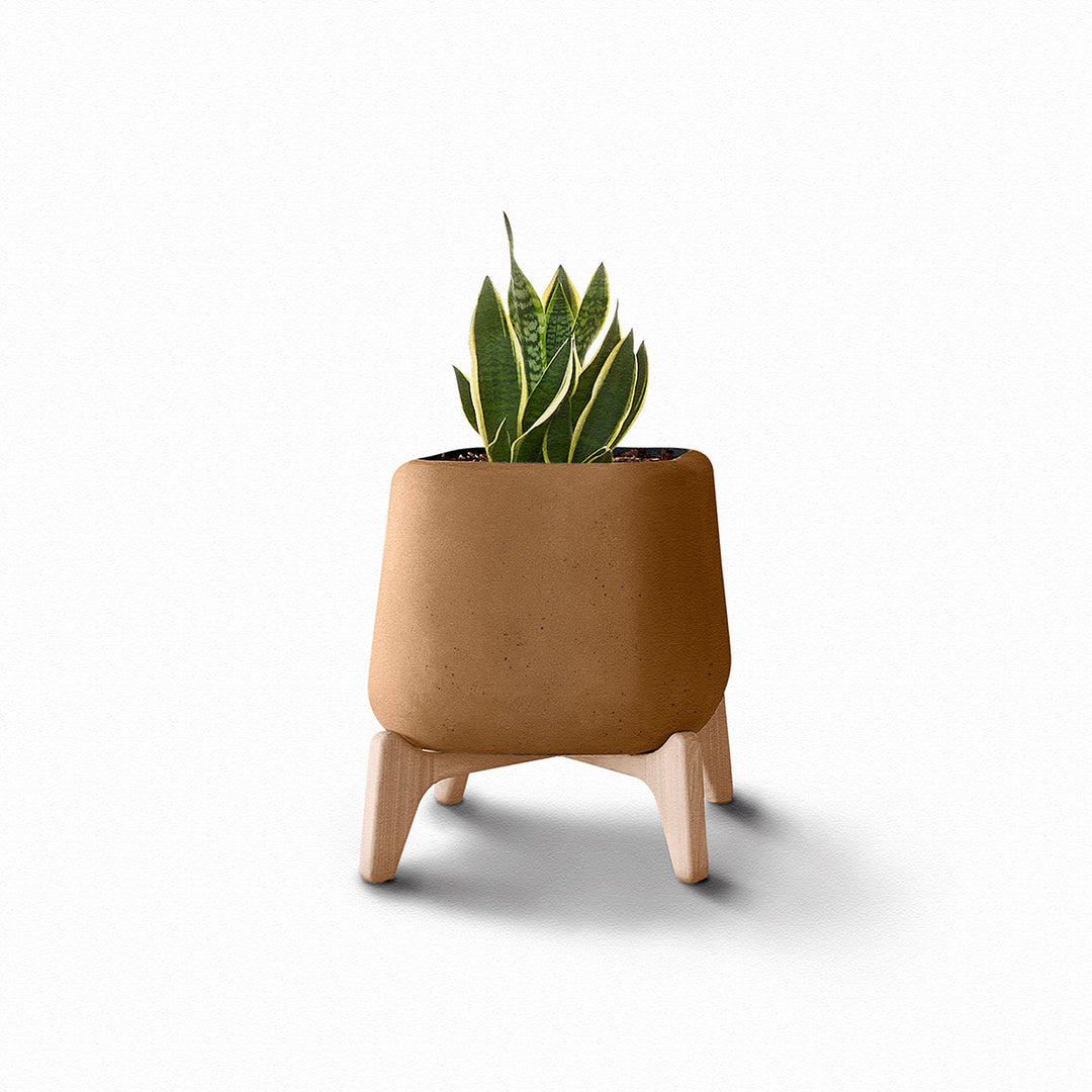 Terra Planter – Square Outdoor Planters Indigenus
