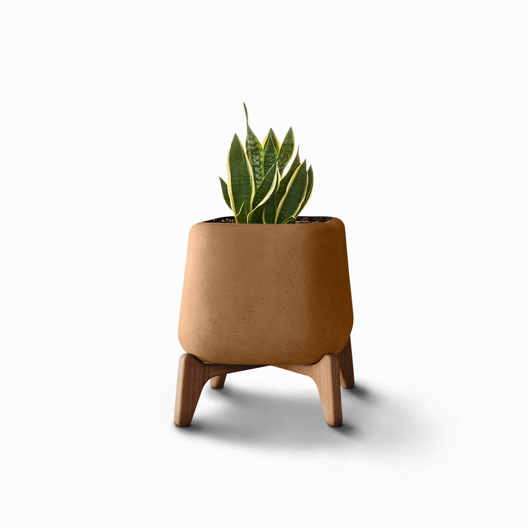 Terra Planter – Square Outdoor Planters Indigenus Brown Oiled