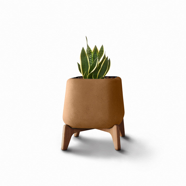 Terra Planter – Square Outdoor Planters Indigenus Brown Oiled