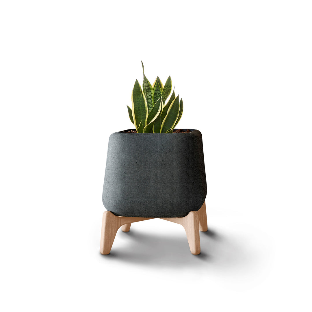 Terra Planter – Square Outdoor Planters Indigenus Black Natural